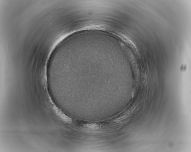 X0000094060792200711021444