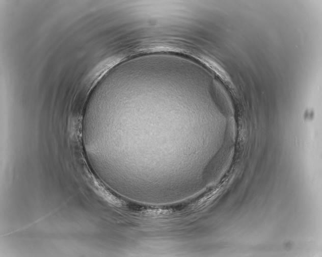 X0000094060793200711021444
