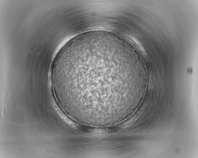 X0000094060796200711021444