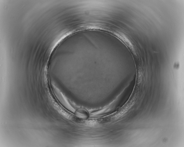 X0000094060798200711021444