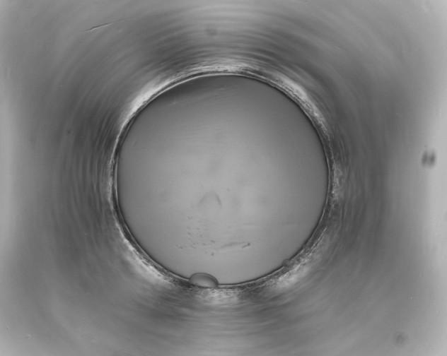 X0000094060802200711021444