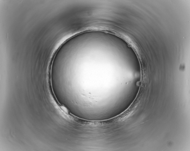 X0000094060803200711021444