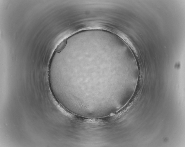 X0000094060805200711021444