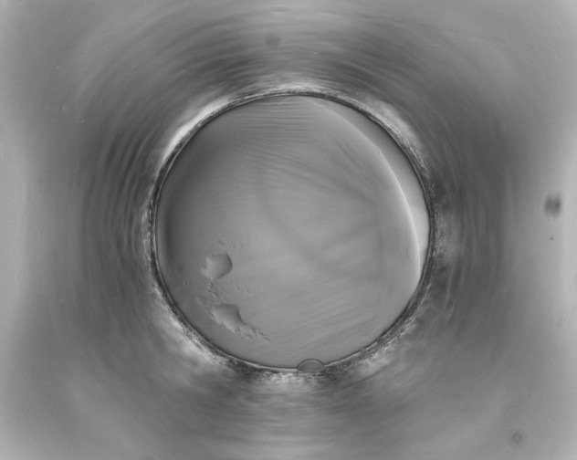 X0000094060806200711021444