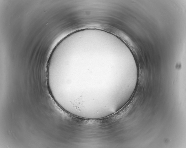 X0000094060808200711021444