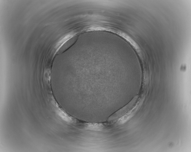 X0000094060809200711021444