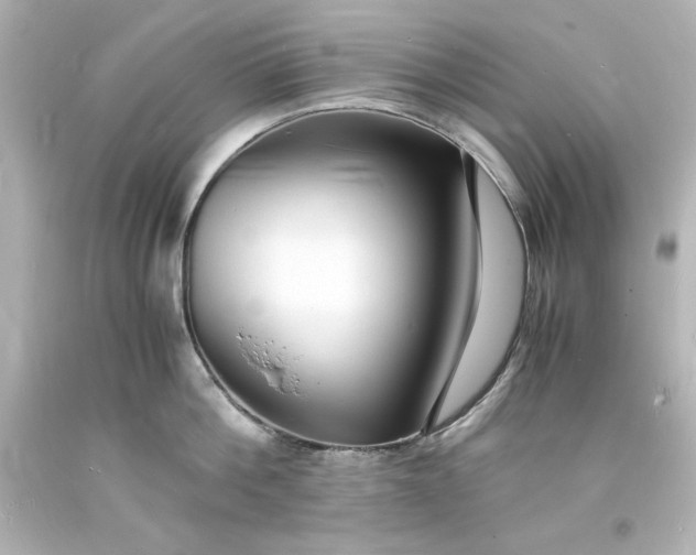 X0000094060812200711021444