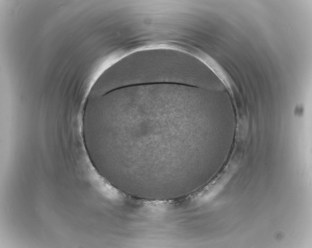X0000094060813200711021444