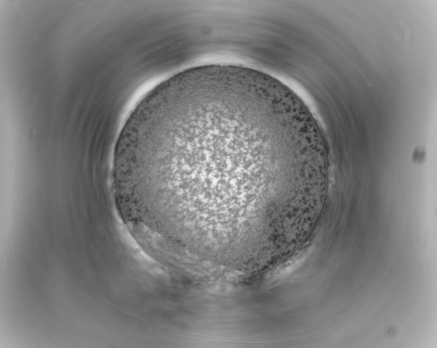 X0000094060815200711021444