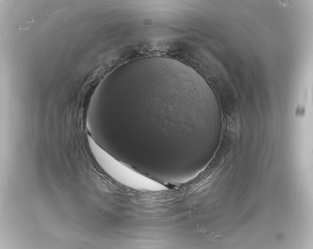X0000094060818200711021443