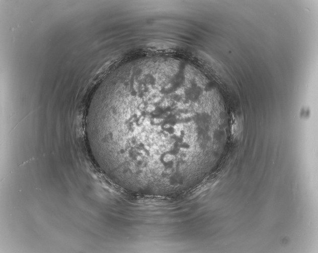 X0000094060819200711021443