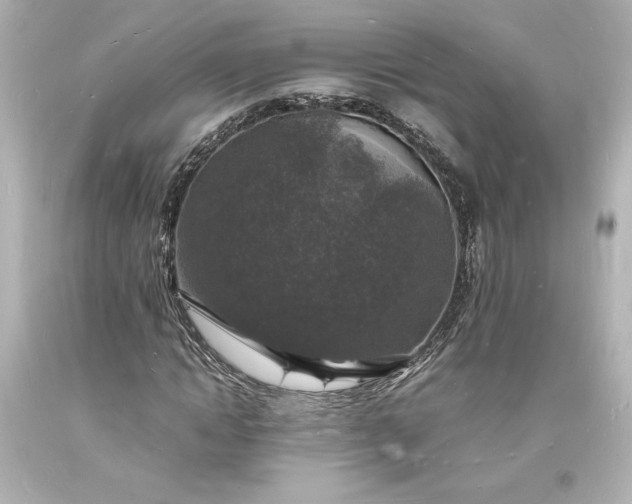 X0000094060822200711021443