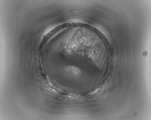 X0000094060823200711021443