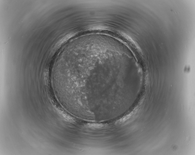 X0000094060825200711021443