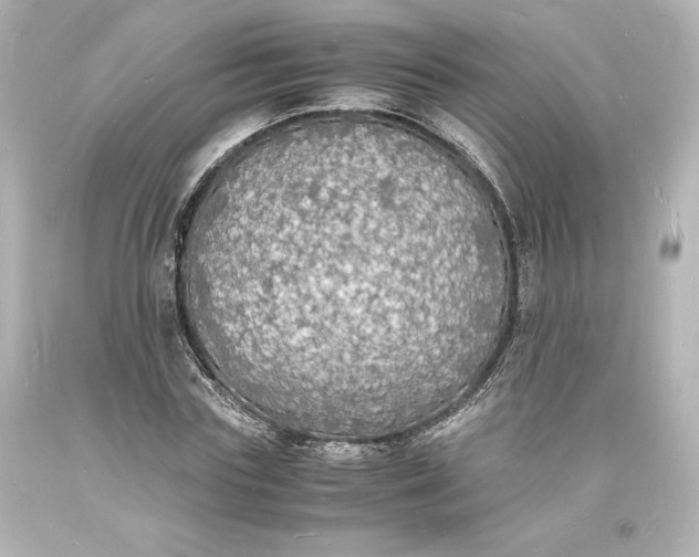X0000094060827200711021443