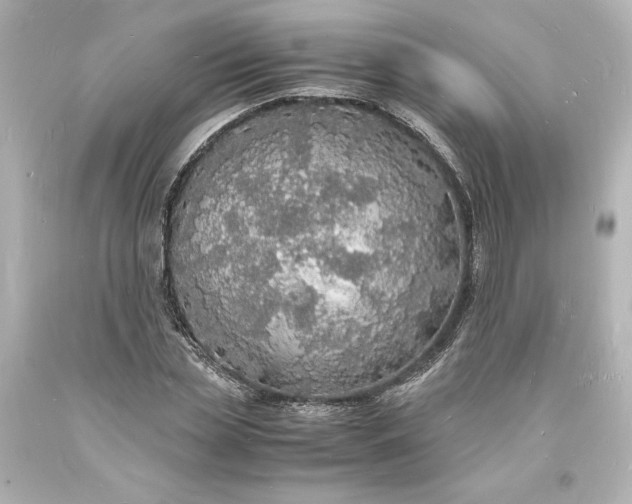 X0000094060829200711021443