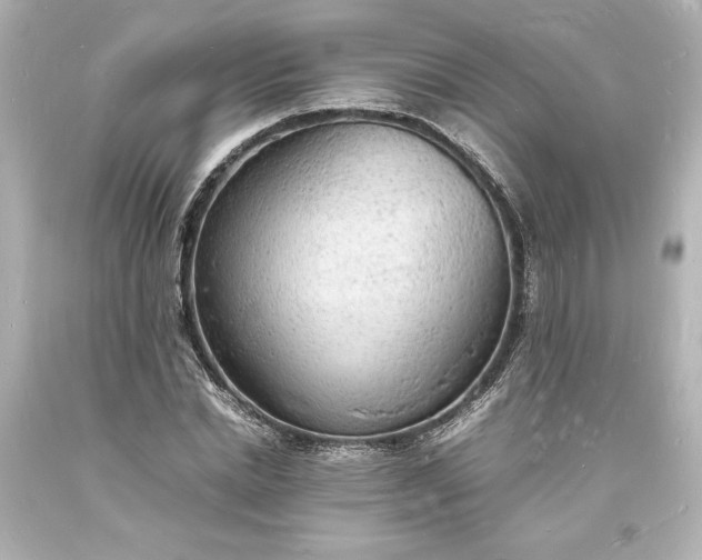 X0000094060830200711021443