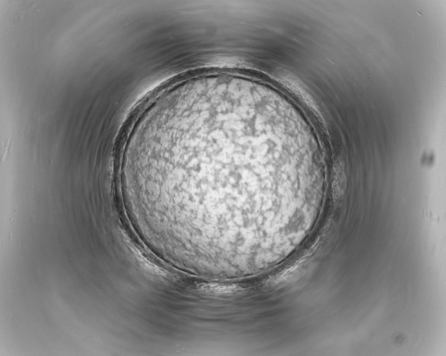 X0000094060831200711021443