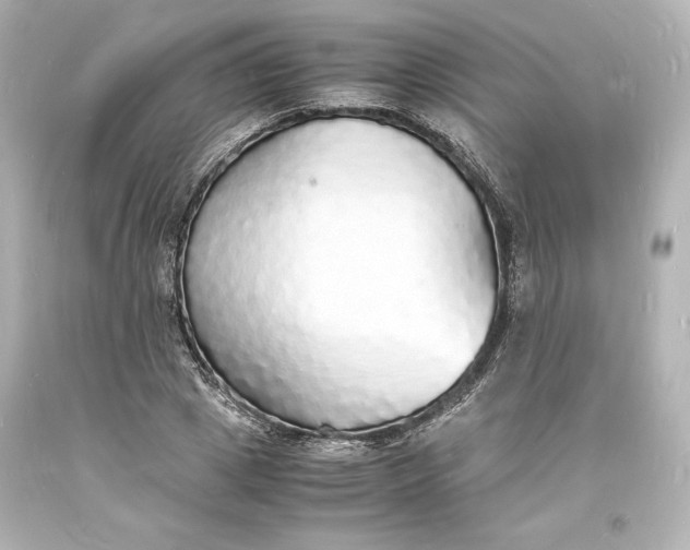 X0000094060833200711021443