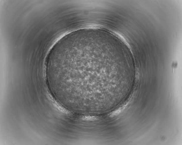 X0000094060835200711021443
