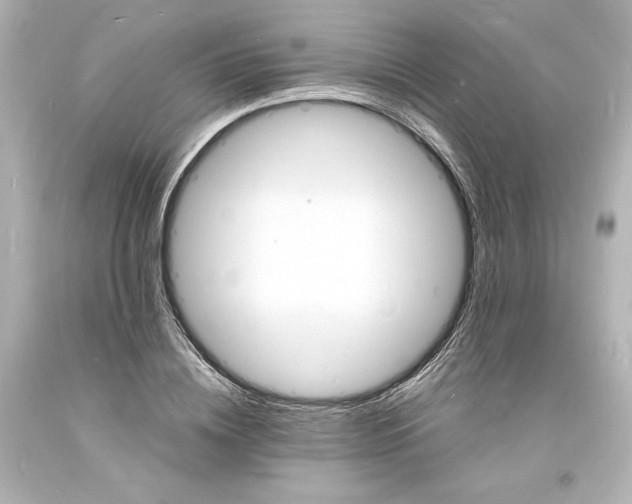 X0000094060836200711021443