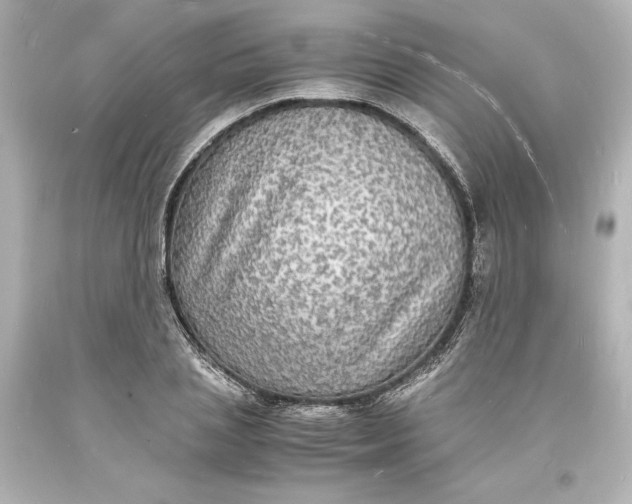 X0000094060837200711021443