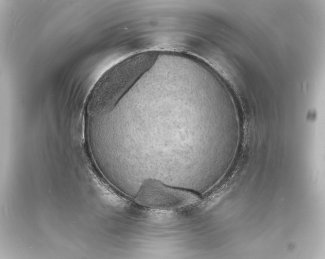 X0000094060838200711021443