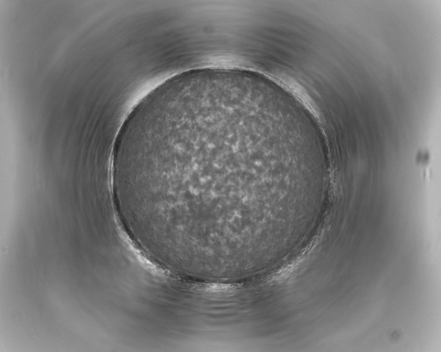 X0000094060839200711021443