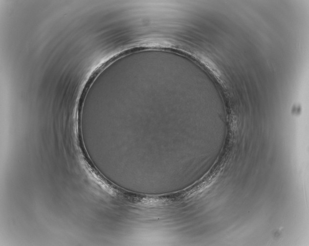 X0000094060840200711021443
