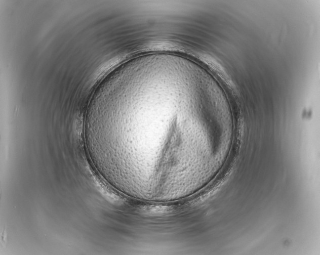 X0000094060841200711021443
