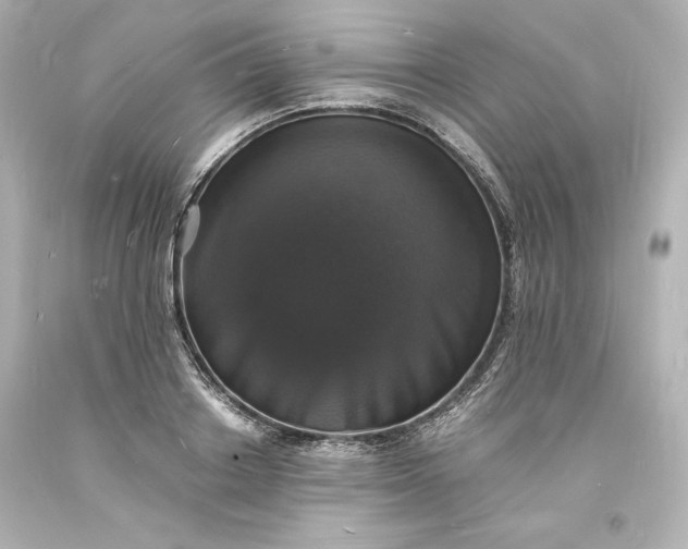 X0000094060842200711021443