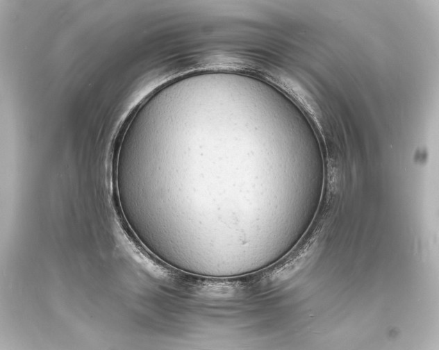 X0000094060843200711021443