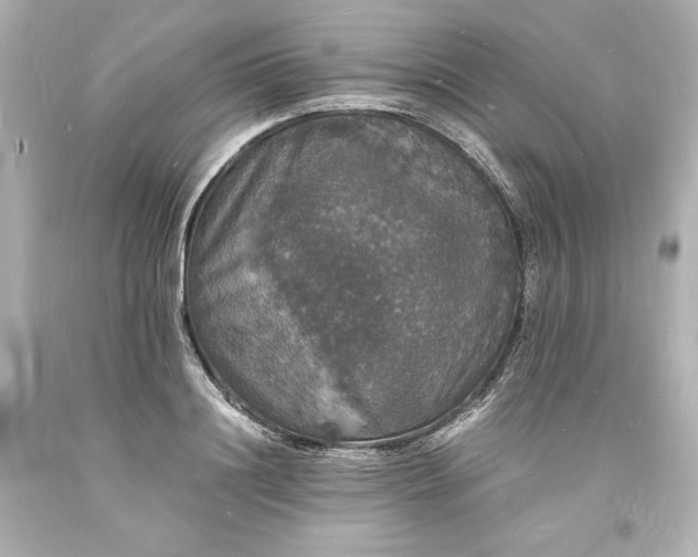 X0000094060844200711021443