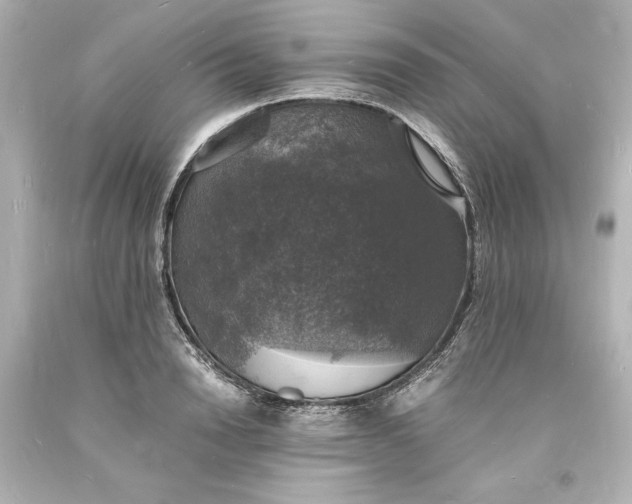 X0000094060846200711021443