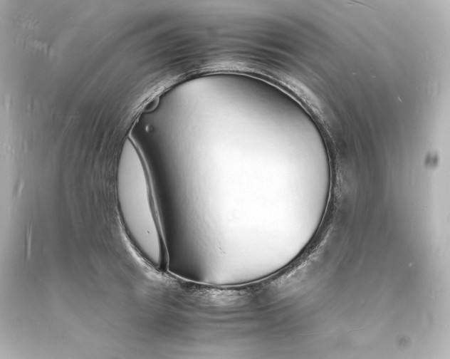 X0000094060849200711021444