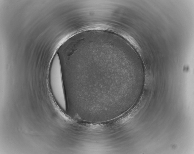 X0000094060850200711021444