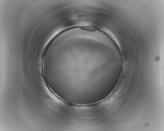 X0000094060851200711021444