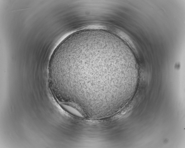 X0000094060852200711021444