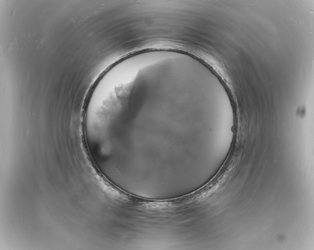 X0000094060853200711021444