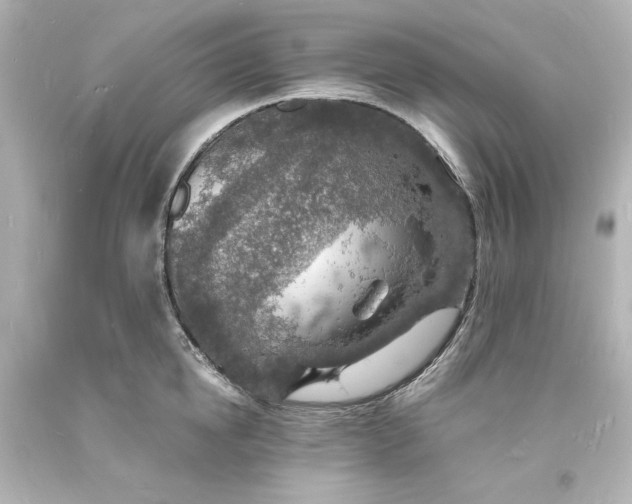 X0000094060854200711021444