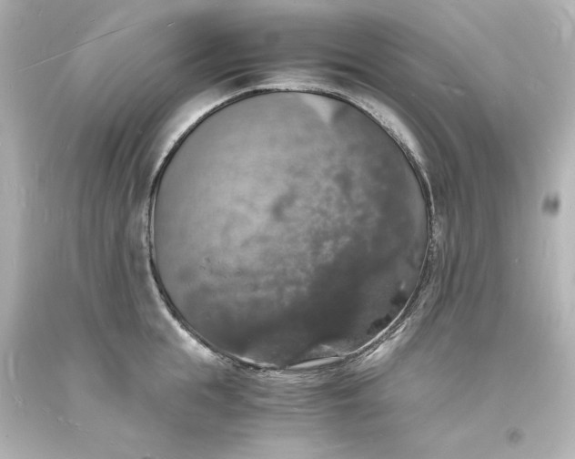X0000094060855200711021444