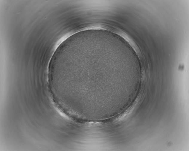 X0000094060858200711021444