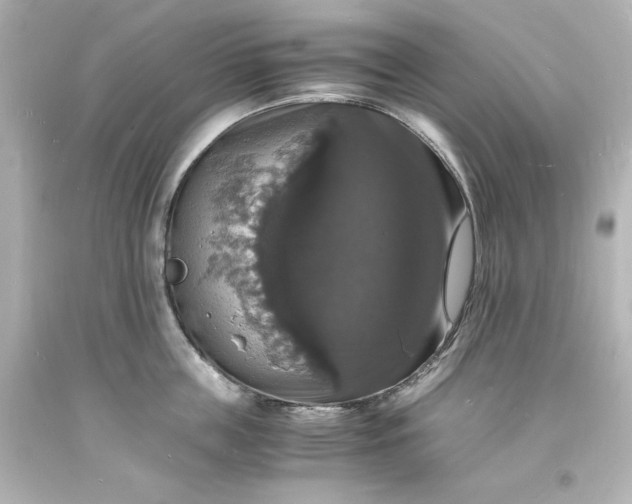 X0000094060859200711021444