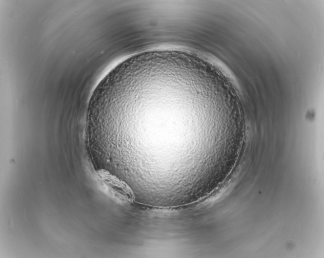 X0000094060860200711021444