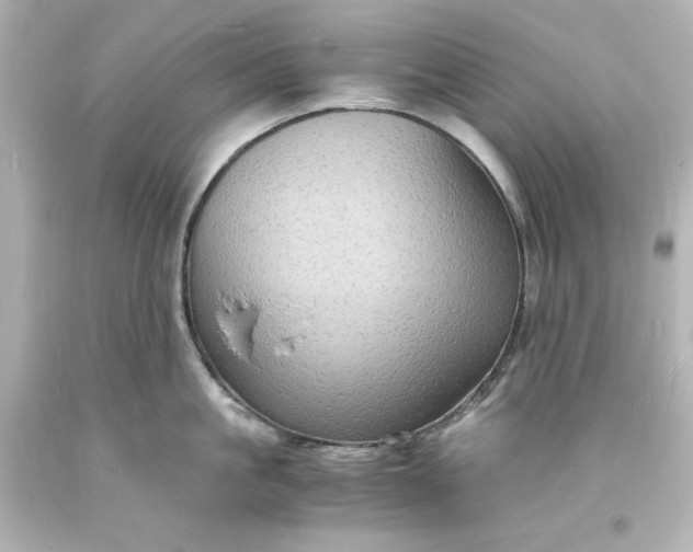 X0000094060861200711021444