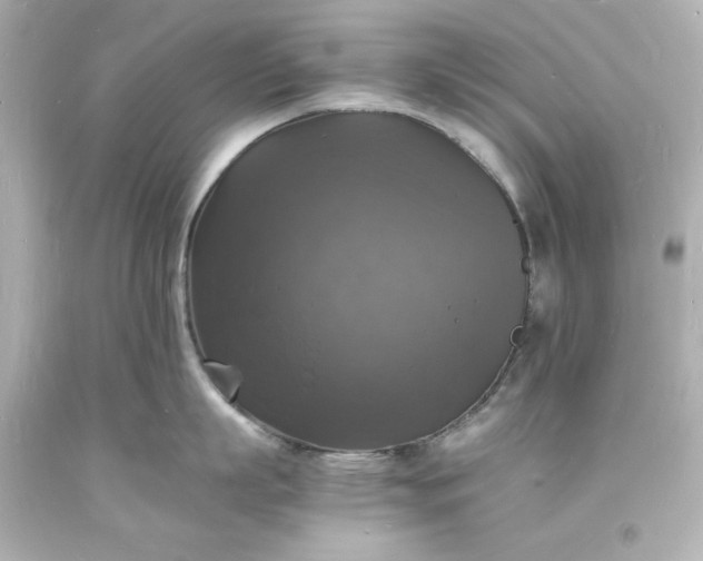 X0000094060863200711021444