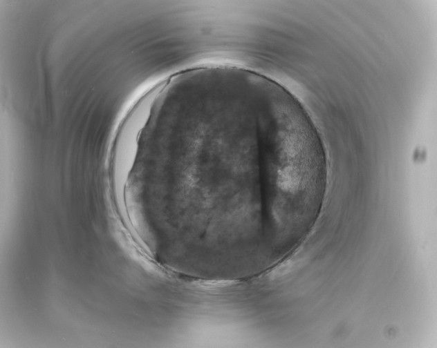 X0000094060864200711021444