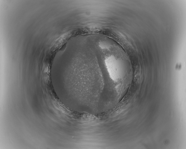 X0000094060866200711021443
