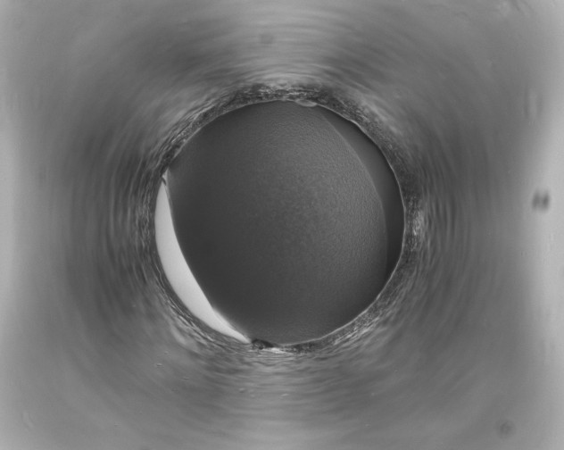 X0000094060868200711021443