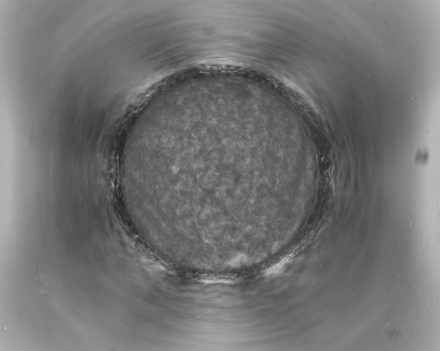 X0000094060870200711021443